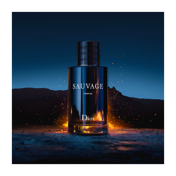 DIOR Sauvage - Parfum pour homme 100ml